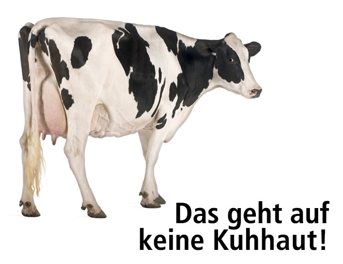 Ausstellungsbild einer Kuh "Das geht auf keine Kuhhaut" Ausstellungsbild einer Kuh "Das geht auf keine Kuhhaut"