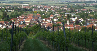 Blick auf Hohensachsen von den Weinbergen