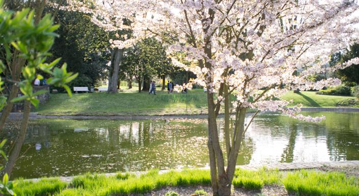 Der Teich im Weinheimer Schlosspark